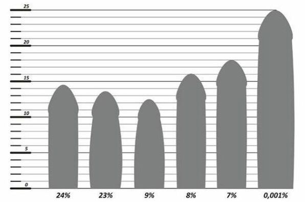 Statistiky velikosti penisu